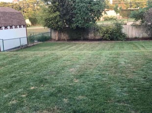 Yiling Z.'s Lawn Mowing Service service result