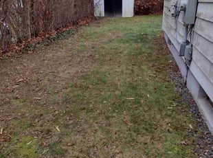 Leaf Removal by Matthew Spinelli for Sareatha F. in Bridgeport, CT