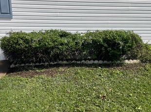 Bush Trimming by Hanif Ibn King for Savannah H. in Lakeland, FL