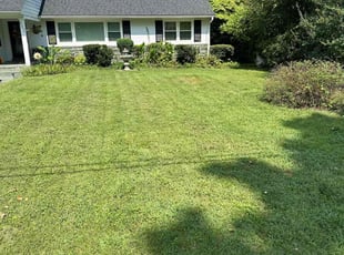 Rebecca F.'s Yard Cutting service result