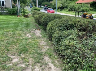Bush Trimming by Cloy Miller for Darilyn C. in Kansas City, MO