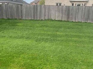 Johnna B.'s Lawn Service service result