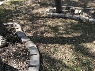 Leaf Removal by Darrel Bowser for Jose Enrique C. in Helotes, TX