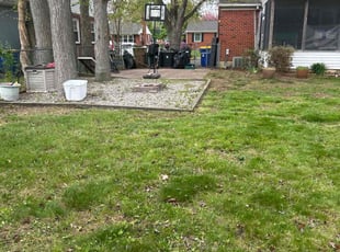 Leaf Removal by Susy Mia Nieto for Scott M. in New Castle, DE