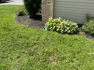 Weeding by Luis Contreras for Sarah H. in Indianapolis, IN