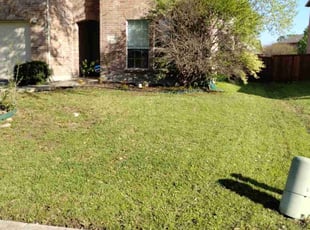 Leaf Removal by John Brown for Andrew G. in McKinney, TX