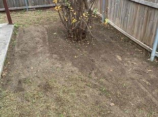 Cleanups by Amanda Love for Michael K. in Saginaw, TX