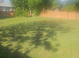 Bryan B.'s Lawn Service service result