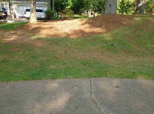 Cleanups by Montgomery Roberts for Terresa N. in Woodstock, GA