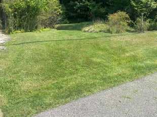 Antonio G.'s Lawn Care service result