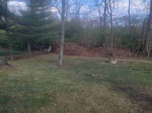 Leaf Removal by Shane Chabot for Steve C. in Powell, OH
