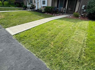 Diane J.'s Lawn Mowing service result