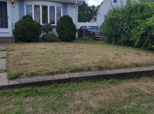 Bush Trimming by Shawn Stephens for Hugh C. in Pawtucket, RI
