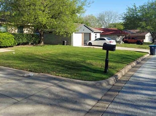 Jose F.'s Lawn Care service result