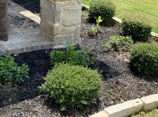 Weeding by Nelson Rhoades for Michael P. in Fort Worth, TX