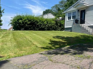 Logan D.'s Lawn Mowing service result