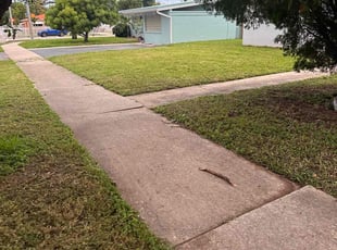 cassandra b.'s Lawn Care service result