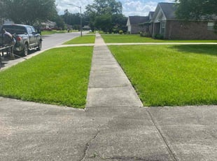 Albert R.'s Grass Cutting service result