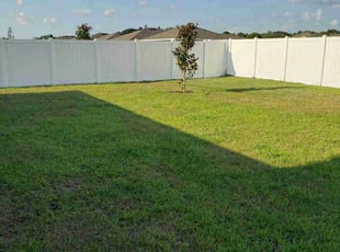 Michelle P.'s Lawn Mowing service result