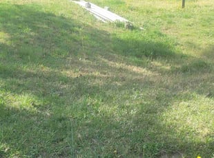 Larissa O.'s Lawn Maintenance service result