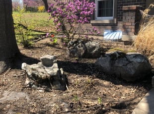Leaf Removal by Brandon ABRAM for Ryan N. in Raytown, MO