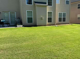 Maryann O.'s Lawn Service service result