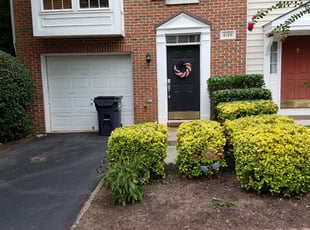 Bush Trimming by Mark Burke for Jackie C. in Fairfax, VA