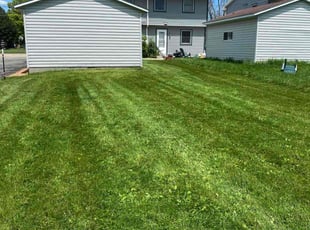 Cheryl C.'s Lawn Mowing Service service result