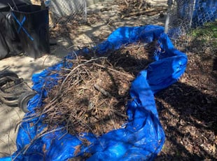 Leaf Removal by Rasheid Wiley for Laurie S. in Saint Ann, MO