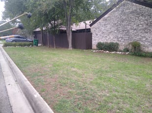 Bush Trimming by Jason Salazar for Jeanine P. in San Antonio, TX