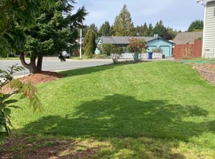 Raj C.'s Grass Cutting service result