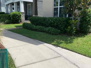 Wayne B.'s Lawn Mowing service result