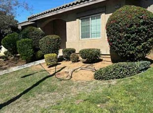 Bush Trimming by Edward Walsh for Veronica M. in Grand Terrace, CA
