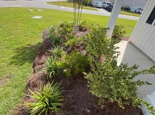 Robert T.'s Flower Bed Weeding service result