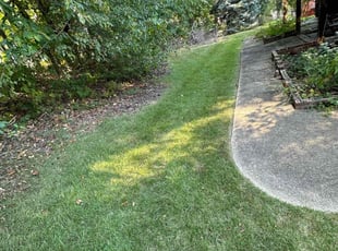 Austin B.'s Lawn Mowing service result
