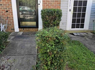 Bush Trimming by Jose Paz for 1313 S. in Oxon Hill, MD
