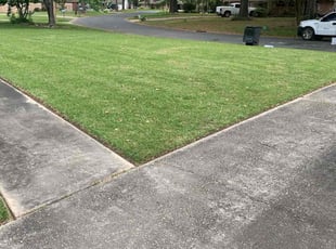 Deborah B.'s Lawn Mowing Service service result