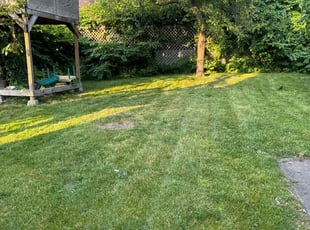 Bryan D.'s Lawn Mowing Service service result