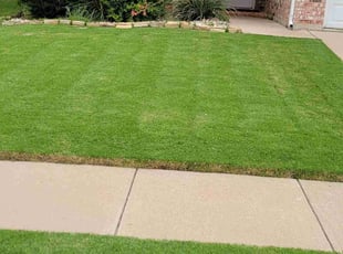 Barbara K.'s Lawn Maintenance service result