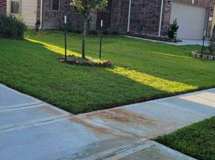 Aaron C.'s Lawn Mowing service result