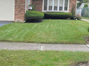 Duncan W.'s Lawn Mowing service result