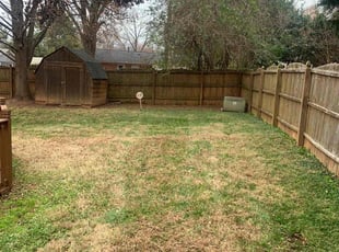 Leaf Removal by Chance Rosenberger for Latisha C. in Charlotte, NC