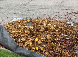 Leaf Removal by Demetrius Bennett Jr for Deborah W. in Cleveland, OH