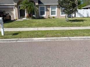 Dana P.'s Lawn Care service result