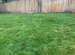 Robert B.'s Yard Cutting service result