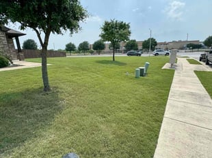Rob M.'s Lawn Mowing service result