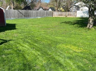Riona E.'s Yard Cutting service result