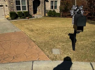 Leaf Removal by Erica Smedley for Brian P. in Charlotte, NC