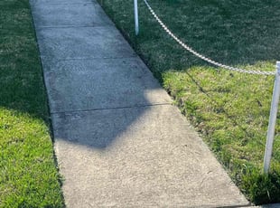 Danielle W.'s Yard Cutting service result