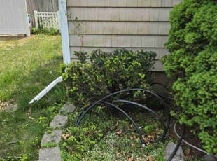 Bush Trimming by Joe Jersets for ANTONIO C. in Rahway, NJ
